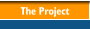 The Project